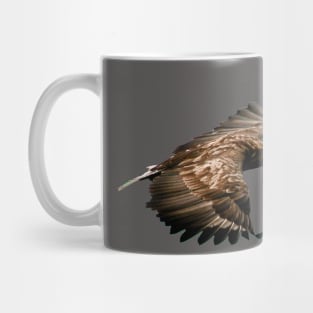 White tailed Eagle Mug